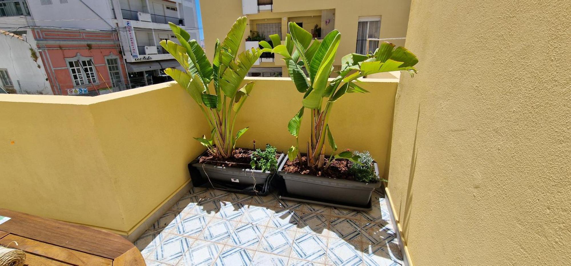 Casa Da Acoteia Apartman FAO Kültér fotó