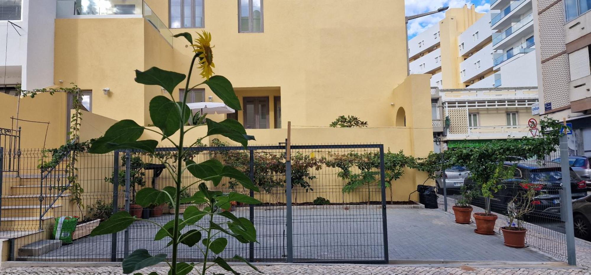 Casa Da Acoteia Apartman FAO Kültér fotó